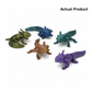 Axolotl Actual Product Colors
