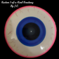 Eyeball disc with corner text